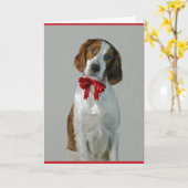 Irish Red and White Setter Cookies Holiday Card Karte (Gelbe Blume)