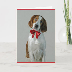 Irish Red and White Setter Cookies Holiday Card Karte