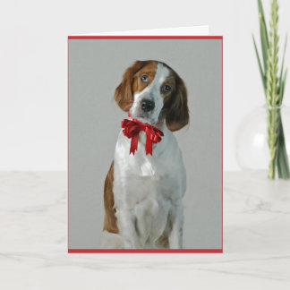 Irish Red and White Setter Cookies Holiday Card Karte