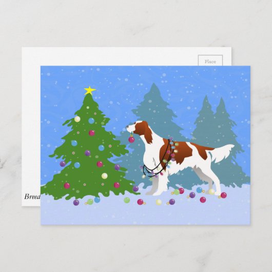 Irish Red and White Setter Decorating Tree Postkarte (Vorne/Hinten)