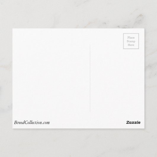 Irish Red and White Setter Decorating Tree Postkarte (Rückseite)