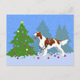 Irish Red and White Setter Decorating Tree Postkarte