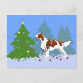 Irish Red and White Setter Decorating Tree Postkarte (Vorderseite)