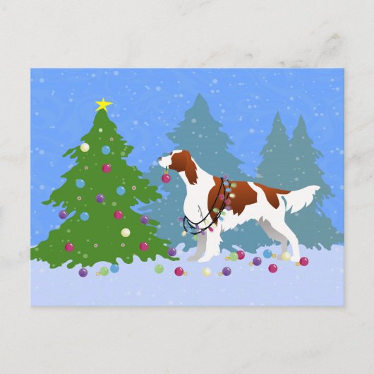 Irish Red and White Setter Decorating Tree Postkarte (Vorderseite)
