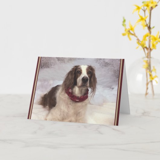 Irish Red and White Setter in the snow and scarf. Karte (Gelbe Blume)