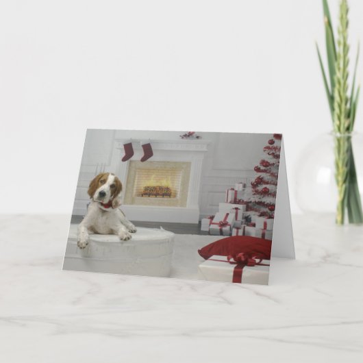 Irish Red and White Setter Puppy Holiday Card Karte (Vorderseite)