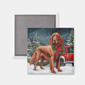 Irish Red Setter Dog in Schnee Weihnachten Magnet (Vorderseite/Rückseite)