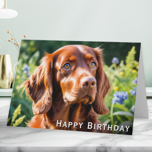 Irish Red Setter Dog Lover Birthday Karte