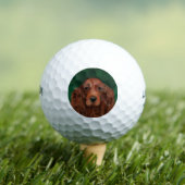Irish Red Setter Golfball (Insitu T-Shirt)