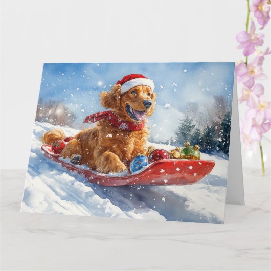 Irish Red Setter in Sledge Let it Snow Christmas Karte (Orchidee)