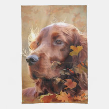 Irish Red Setter, Irish Setter