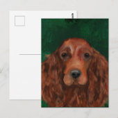 Irish Red Setter Postkarte (Vorne/Hinten)