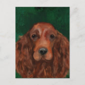 Irish Red Setter Postkarte (Vorderseite)