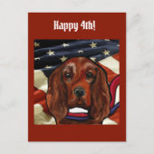 Irish Red Setter    Postkarte (Vorderseite)