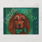 Irish Red Setter Postkarte (Vorderseite)