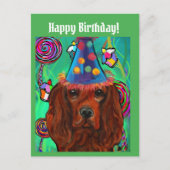Irish Red Setter Postkarte (Vorderseite)