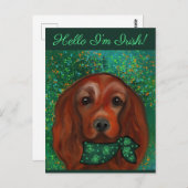 Irish Red Setter Postkarte (Vorne/Hinten)