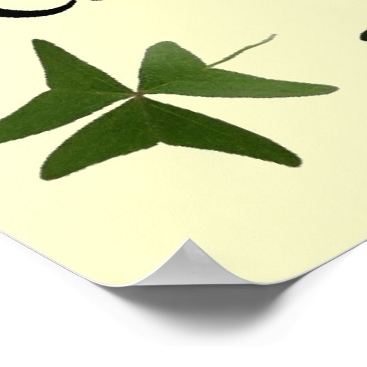 Irish Segen Glück Poster (Ecke)