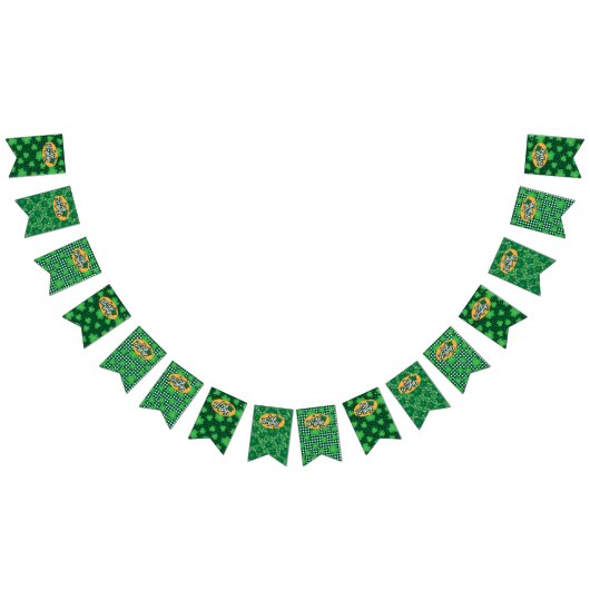 IRISH SESSING BUNTING FLAGS WIMPELKETTE (Alle)