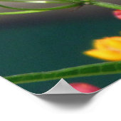 Irish Sessing Poster (White Peacock und Milkweed) (Ecke)