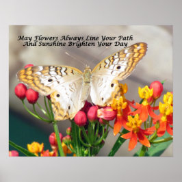 Irish Sessing Poster (White Peacock und Milkweed)