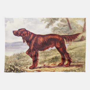 Irish Setter 1900 Abbildung eines Sporthundes Geschirrtuch