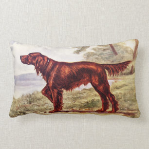 Irish Setter 1900 Abbildung eines Sporthundes Lendenkissen