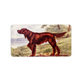 Irish Setter 1900 Illustration of Sporting Dog Adressaufkleber (Vorne)