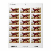 Irish Setter 1900 Illustration of Sporting Dog Adressaufkleber (Vorne)