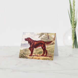 Irish Setter 1900 Illustration of Sporting Dog Karte