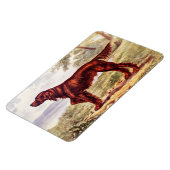 Irish Setter 1900 Illustration of Sporting Dog Magnet (Linke Seite)
