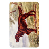 Irish Setter 1900 Illustration of Sporting Dog Magnet (Vertikal)