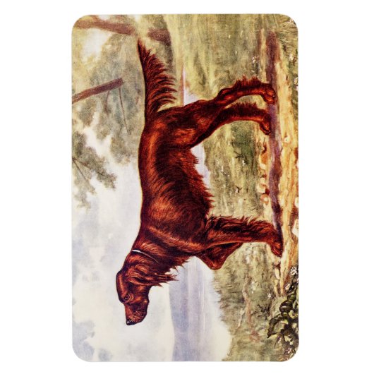 Irish Setter 1900 Illustration of Sporting Dog Magnet (Vertikal)