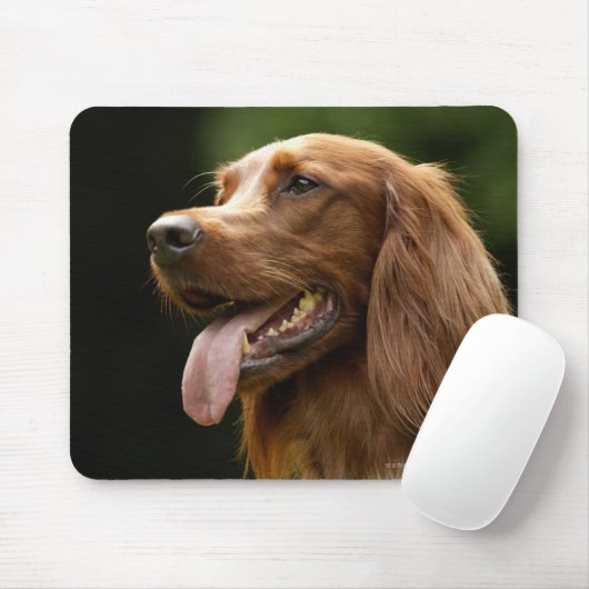 Irish Setter 2 Mousepad (Mit Mouse)