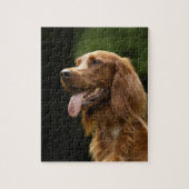 Irish Setter 2 Puzzle (Vertikal)