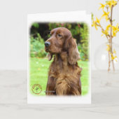 Irish Setter 9T004D-286 Karte (Gelbe Blume)