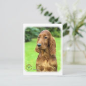 Irish Setter 9T004D-349 Postkarte (Stehend Vorderseite)