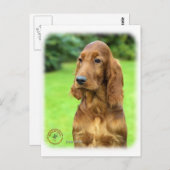 Irish Setter 9T004D-349 Postkarte (Vorne/Hinten)