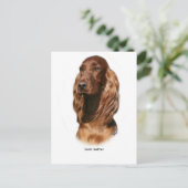 Irish Setter 9Y322D-116 Postkarte (Stehend Vorderseite)