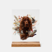 Irish Setter Acrylschild (Vorderseite)