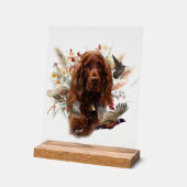 Irish Setter Acrylschild (Winkel)