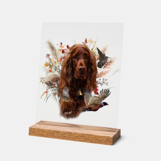 Irish Setter Acrylschild (Winkel)