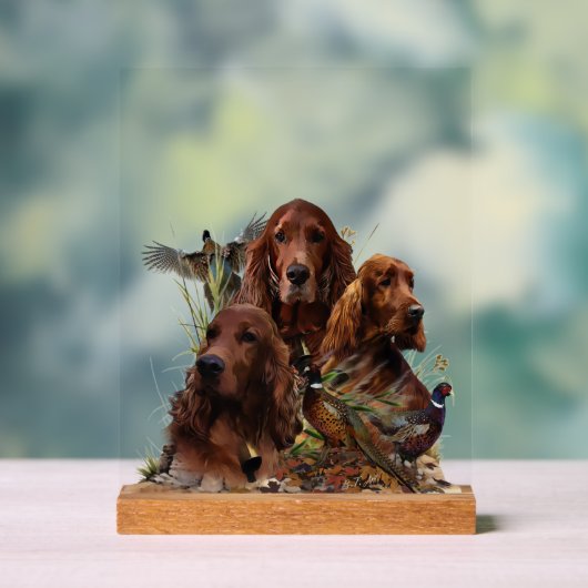 Irish Setter Acrylschild (Neutral)