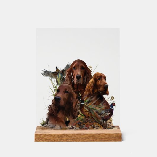 Irish Setter Acrylschild (Vorderseite)