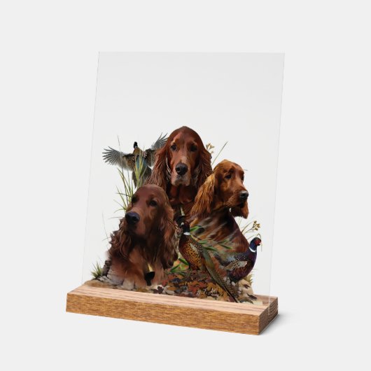 Irish Setter Acrylschild (Winkel)