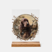 Irish Setter Acrylschild (Vorderseite)
