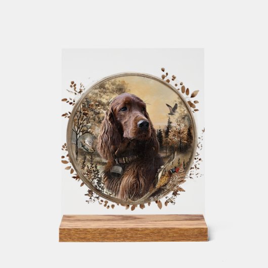 Irish Setter Acrylschild (Vorderseite)