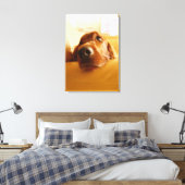 Irish Setter auf Sofa Leinwanddruck (Insitu (Schlafzimmer))