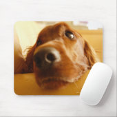 Irish Setter auf Sofa Mousepad (Mit Mouse)