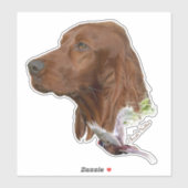Irish Setter Aufkleber (Blatt)